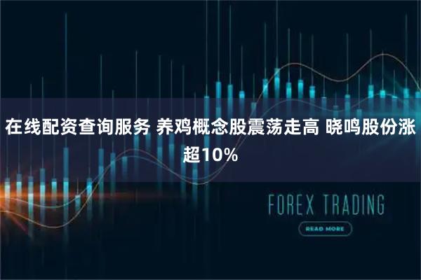 在线配资查询服务 养鸡概念股震荡走高 晓鸣股份涨超10%