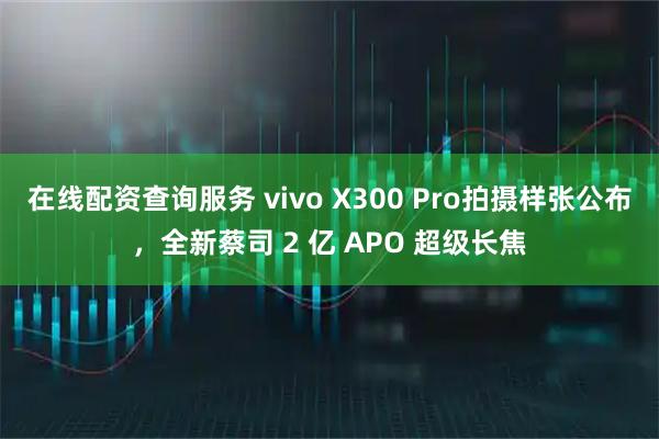 在线配资查询服务 vivo X300 Pro拍摄样张公布，全新蔡司 2 亿 APO 超级长焦