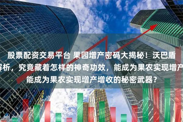 股票配资交易平台 果园增产密码大揭秘！沃巴盾保花保果系列全解析，究竟藏着怎样的神奇功效，能成为果农实现增产增收的秘密武器？