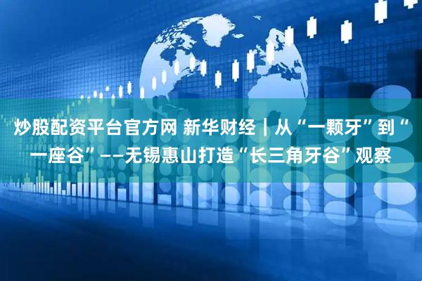 炒股配资平台官方网 新华财经｜从“一颗牙”到“一座谷”——无锡惠山打造“长三角牙谷”观察