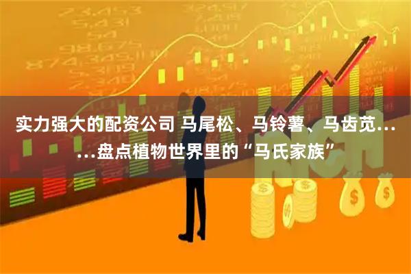 实力强大的配资公司 马尾松、马铃薯、马齿苋……盘点植物世界里的“马氏家族”