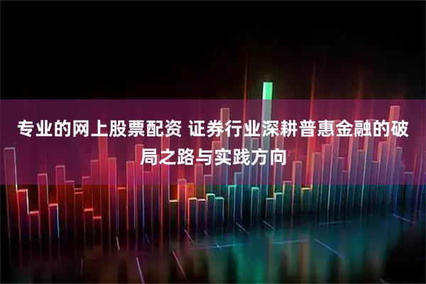 专业的网上股票配资 证券行业深耕普惠金融的破局之路与实践方向